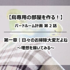 【鳥専用の部屋を作る！】バードルーム計画②