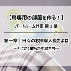 【鳥専用の部屋を作る！】バードルーム計画①