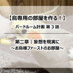 【鳥専用の部屋を作る！】バードルーム計画③