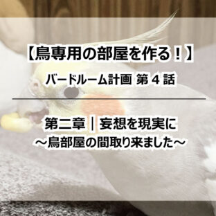 【鳥専用の部屋を作る!】バードルーム計画④