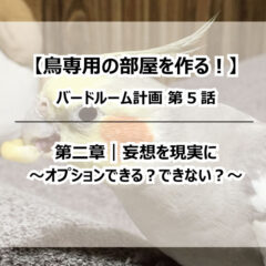 【鳥専用の部屋を作る！】バードルーム計画⑤