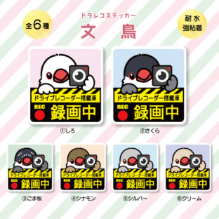 ドラレコステッカー|文鳥(全6種)