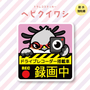 ドラレコステッカー｜ヘビクイワシ
