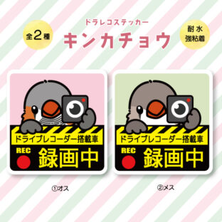 ドラレコステッカー|キンカチョウ(全2種)