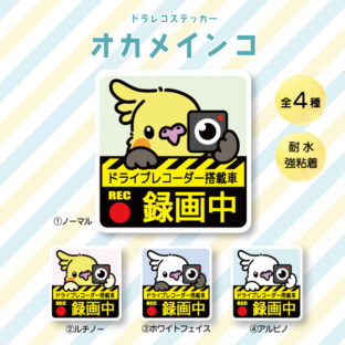 ドラレコステッカー|オカメインコ(全4種)