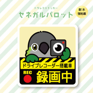 ドラレコステッカー｜セネガルパロット