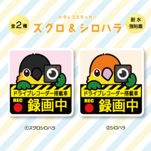 ドラレコステッカー|ズグロ・シロハラ(全2種)