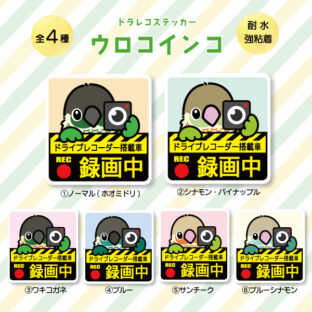 ドラレコステッカー|ウロコインコ(全6種)
