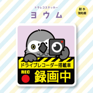 ドラレコステッカー｜ヨウム