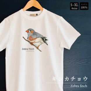 Tシャツ｜キンカチョウZebra finch