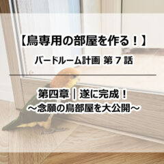 遂に完成【鳥専用の部屋を作る!】バードルーム計画⑦